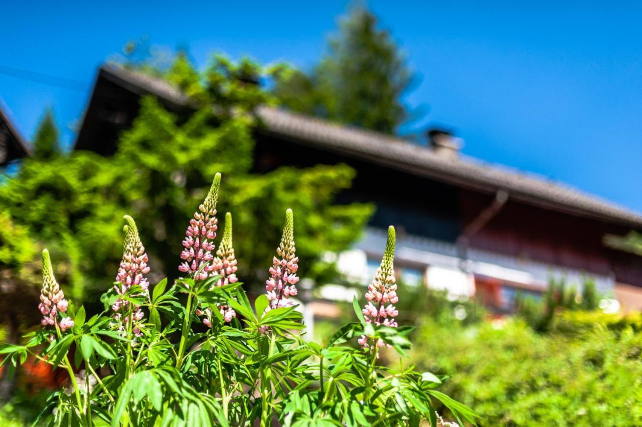 House Moose'T Getaway, Kranjska Gora Villa ภายนอก รูปภาพ