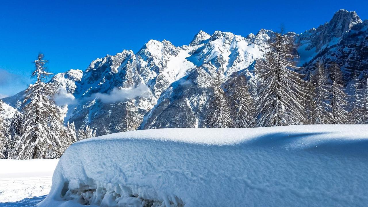 House Moose'T Getaway, Kranjska Gora Villa ภายนอก รูปภาพ