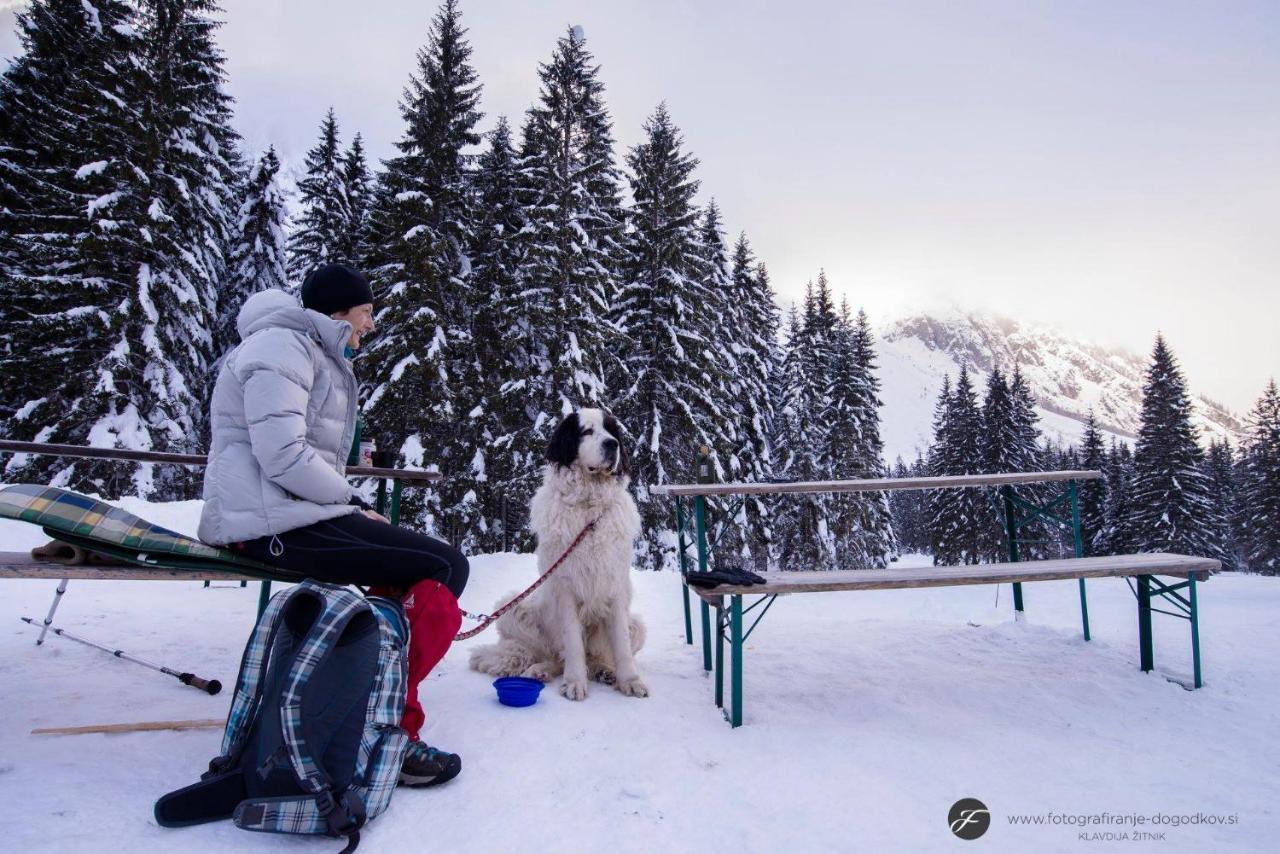 House Moose'T Getaway, Kranjska Gora Villa ภายนอก รูปภาพ
