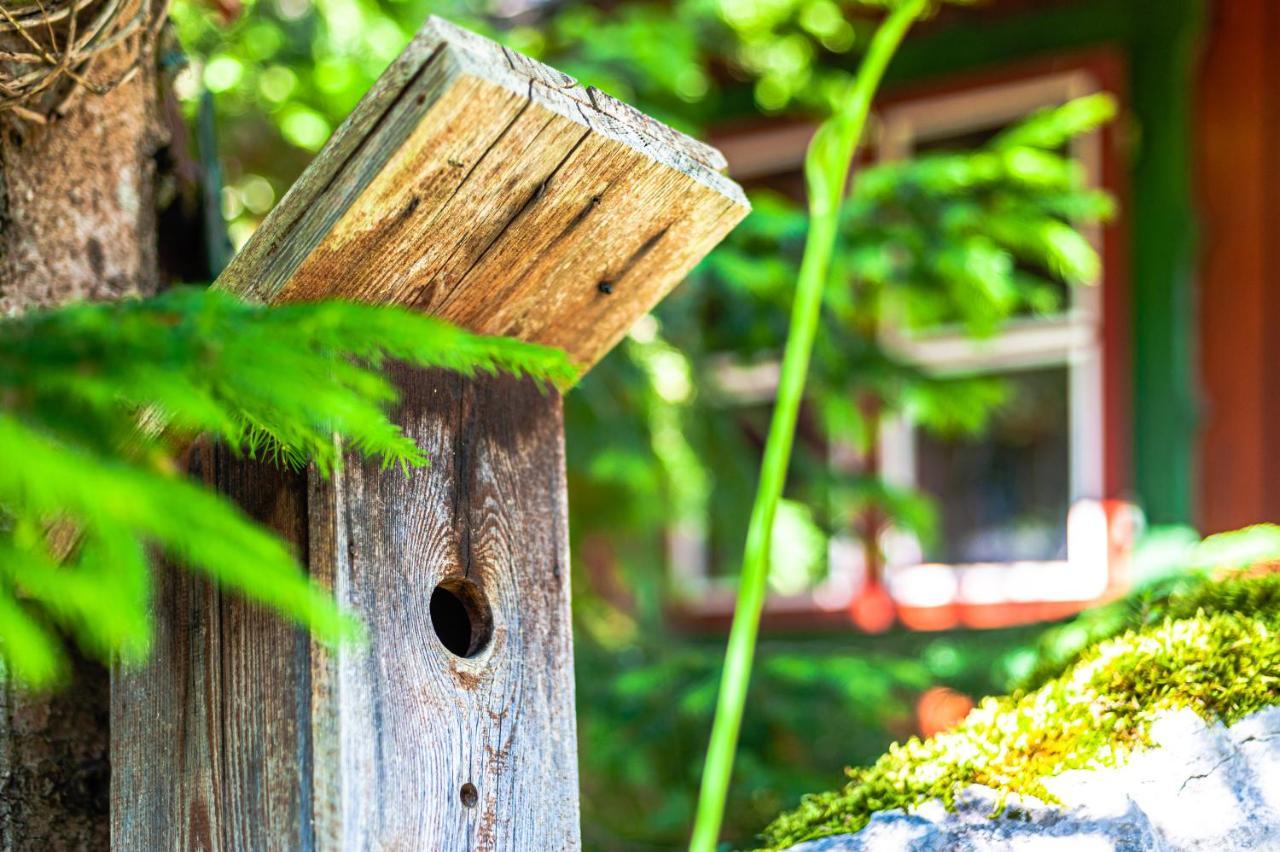 House Moose'T Getaway, Kranjska Gora Villa ภายนอก รูปภาพ